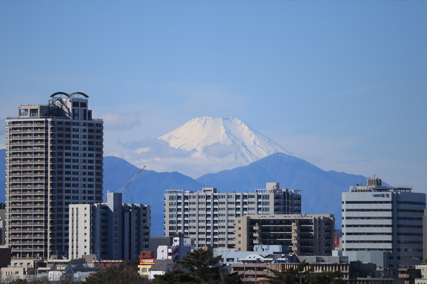 公園の見どころ
