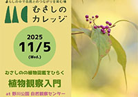 2024年4月26日(金)開催『野川公園 植生の履歴をひも解く』イベント詳細