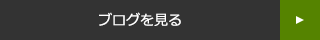 ブログを見る