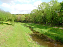 Spring waters run through Nogawa River (Nogawa Park)