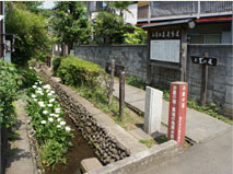 Nice little path for a walk (Musashikokubunji Park)