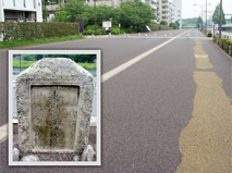 Tozando-Road historic site (Musashikokubunji Park)