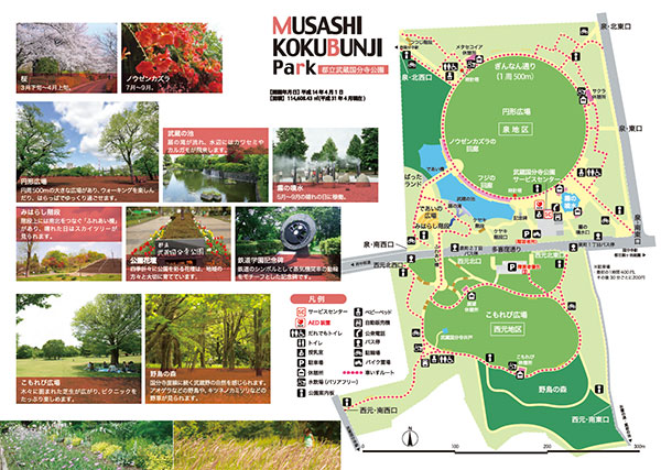 武蔵国分寺公園マップ