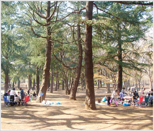 野川公園 むさしのの都立公園