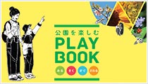 PLAY BOOK