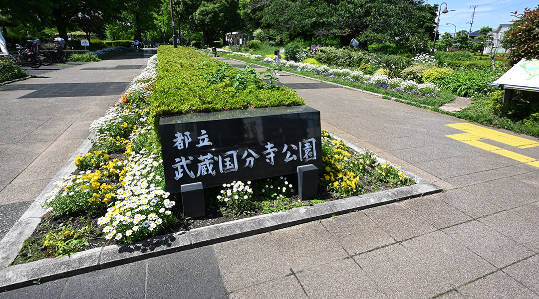 公園花壇