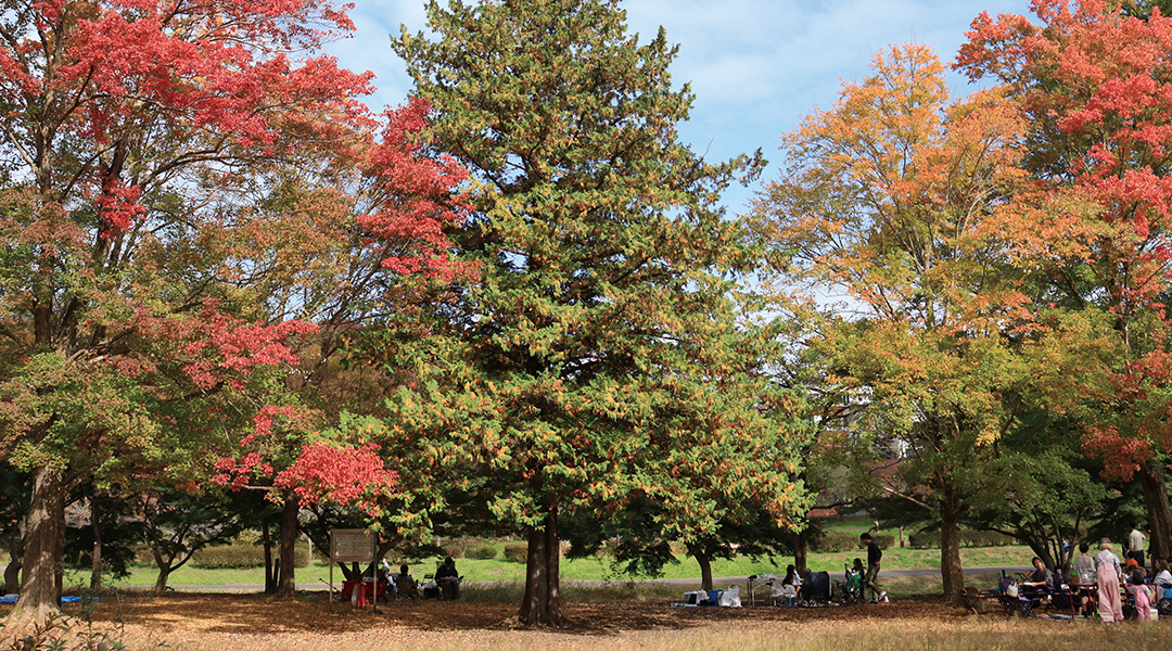 バーベキュー広場