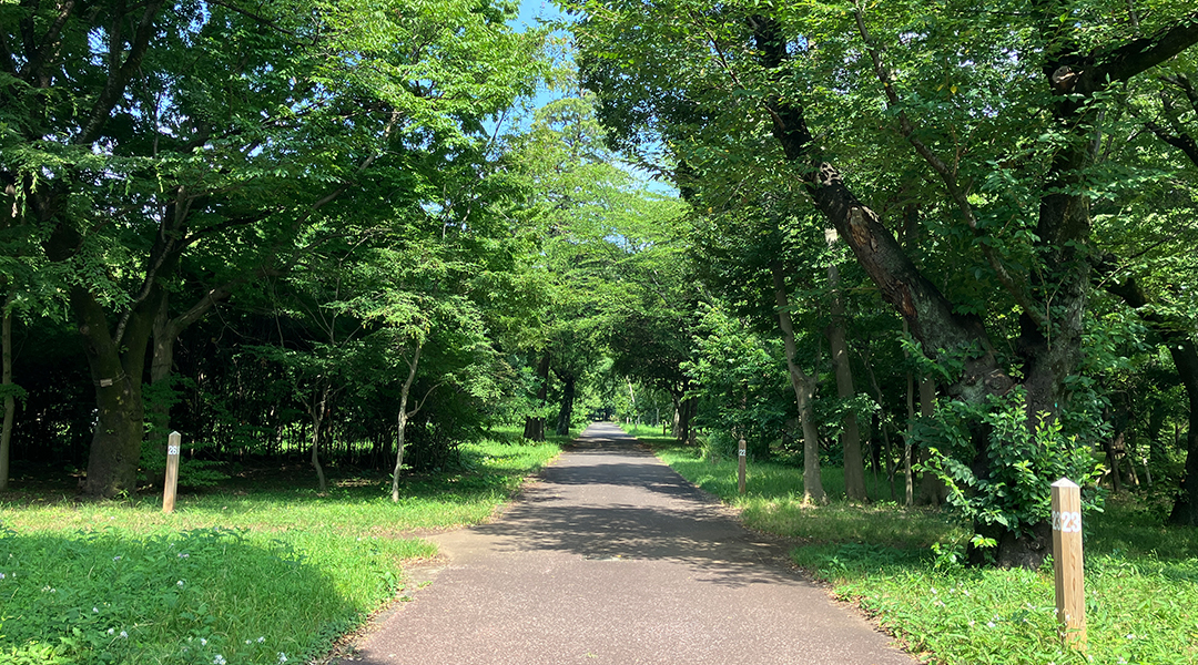 自然観察センター