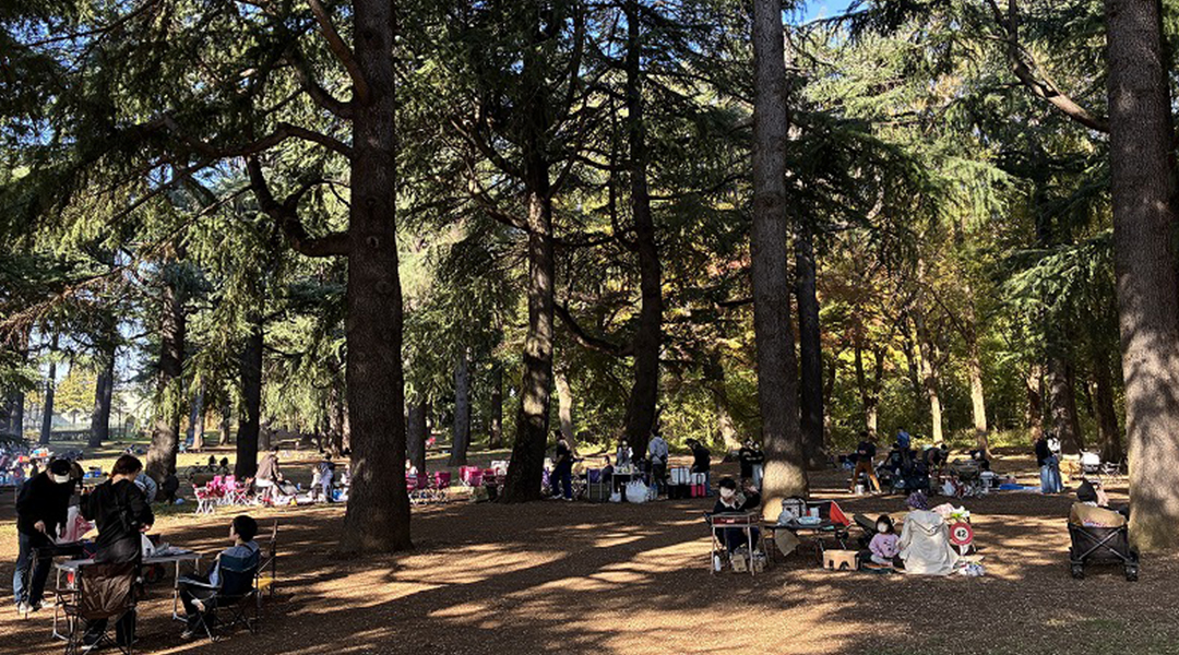 バーベキュー広場