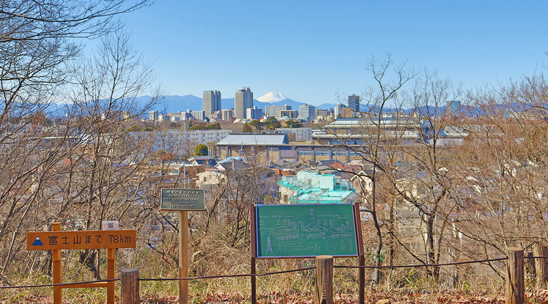 関東の富士見百景