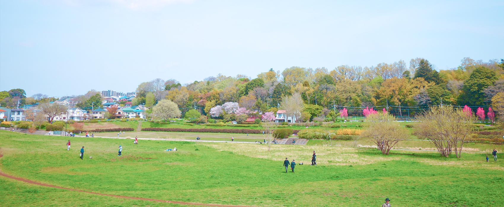 多様な生物が生息する都立公園づくり