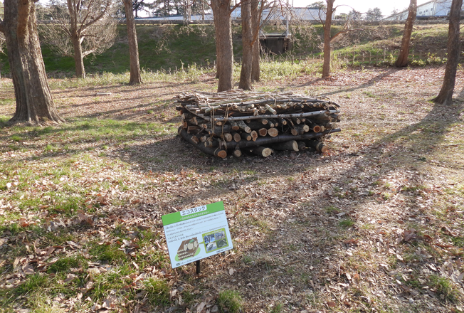 エコスタック設置の様子（外周東）