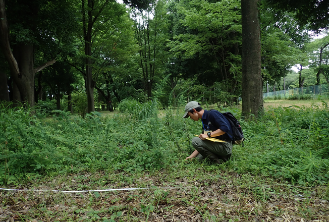 植生調査の様子