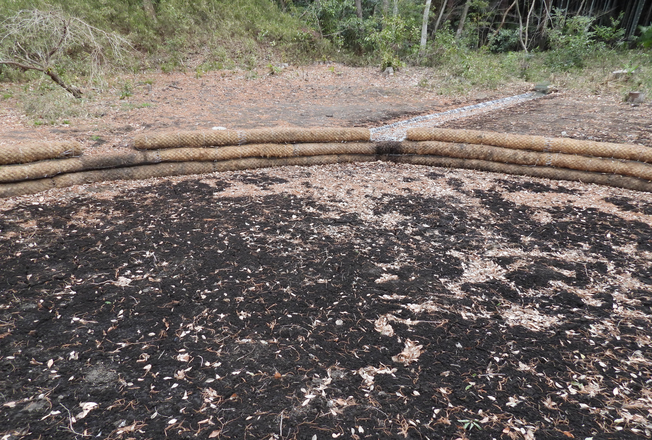 池の掘削・整備後の様子(あか池)