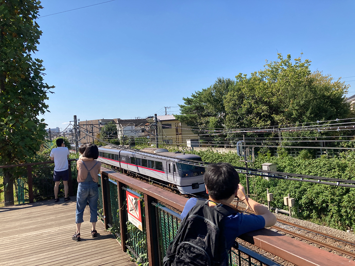 公園の見どころ