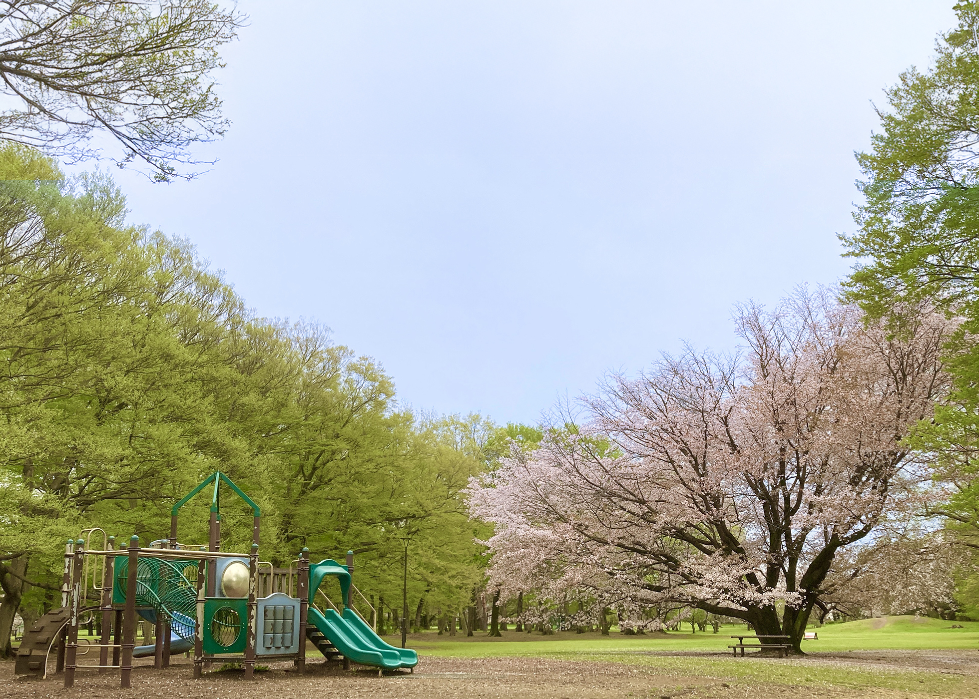 野川公園