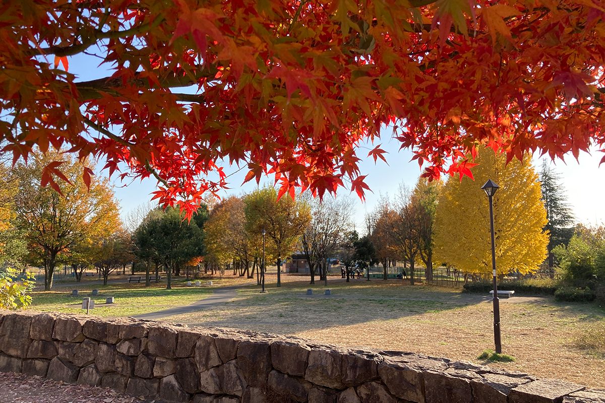 公園の見どころ