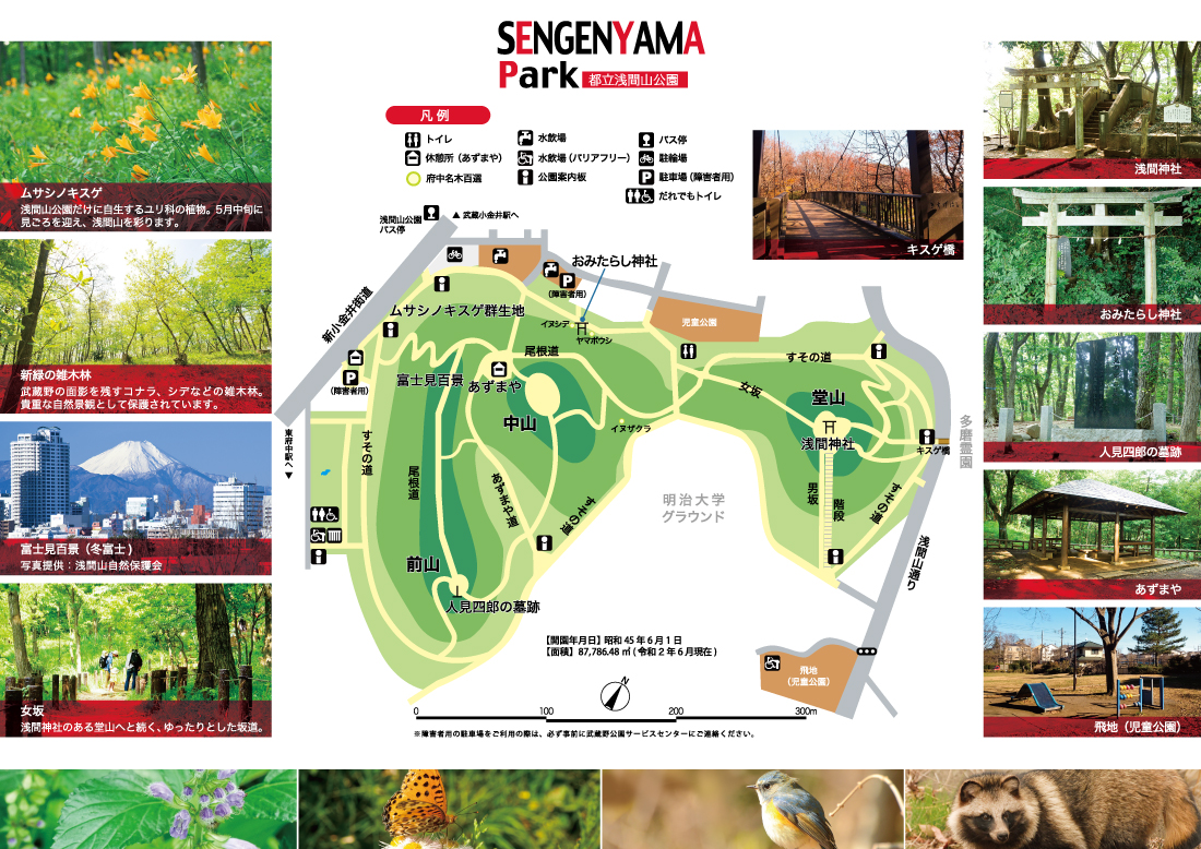 浅間山公園マップ