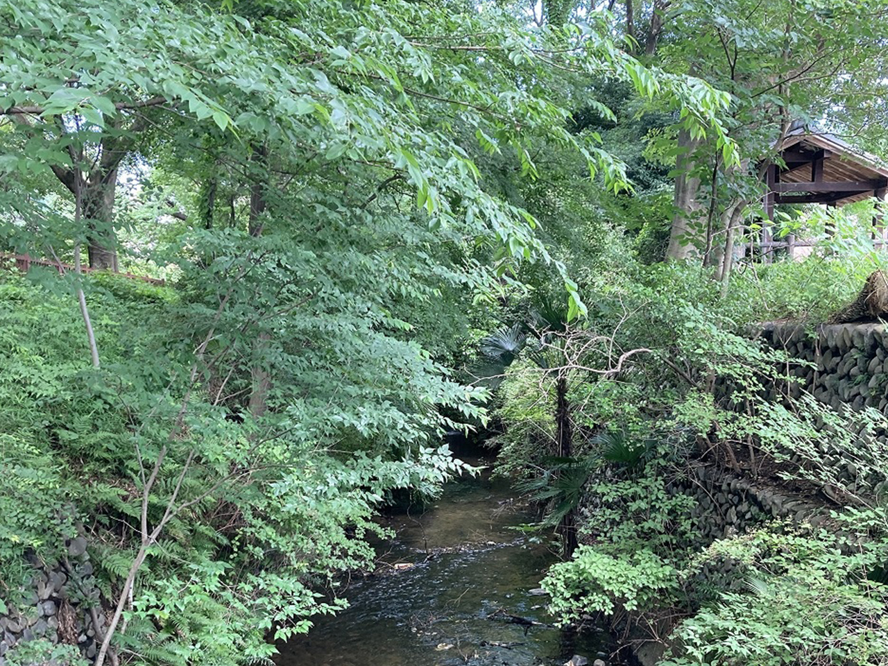 公園の見どころ