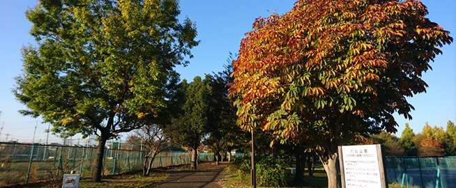 六仙公園で紅葉を楽しもう写真