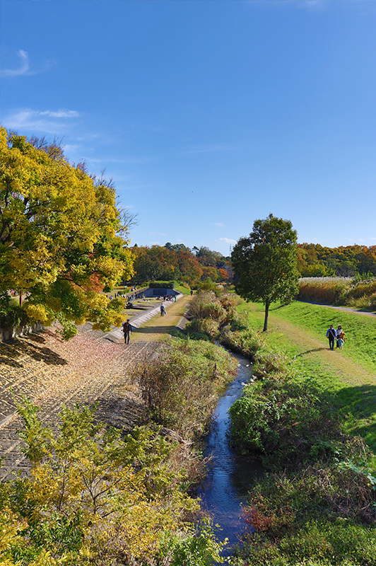 野川公園風景