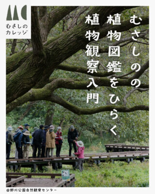 浅間山公園 | むさしのの都立公園